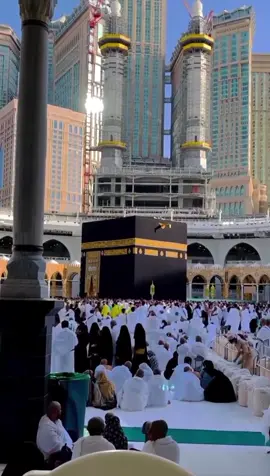 #Makha#Madana#❤️❤️❤️❤️❤️❤️❤️❤️❤️❤️❤️❤️❤️❤️❤️❤️❤️❤️❤️ #mashallah😍😍😍😍😍 #foryoupage #foryoupage #fpyツ #fpyシ #fpytiktok 