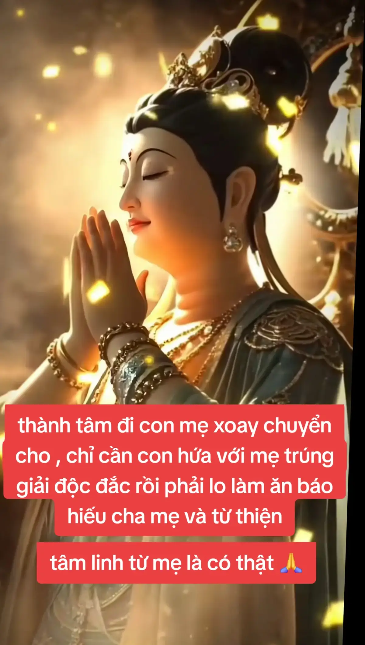 Nghiêm túc tin tưởng và thành tâm trước mẹ