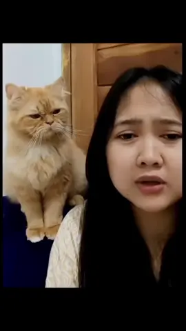 Meong : Yang natang ni aku ke kau 😾 #tepresak #dubbinghewan 