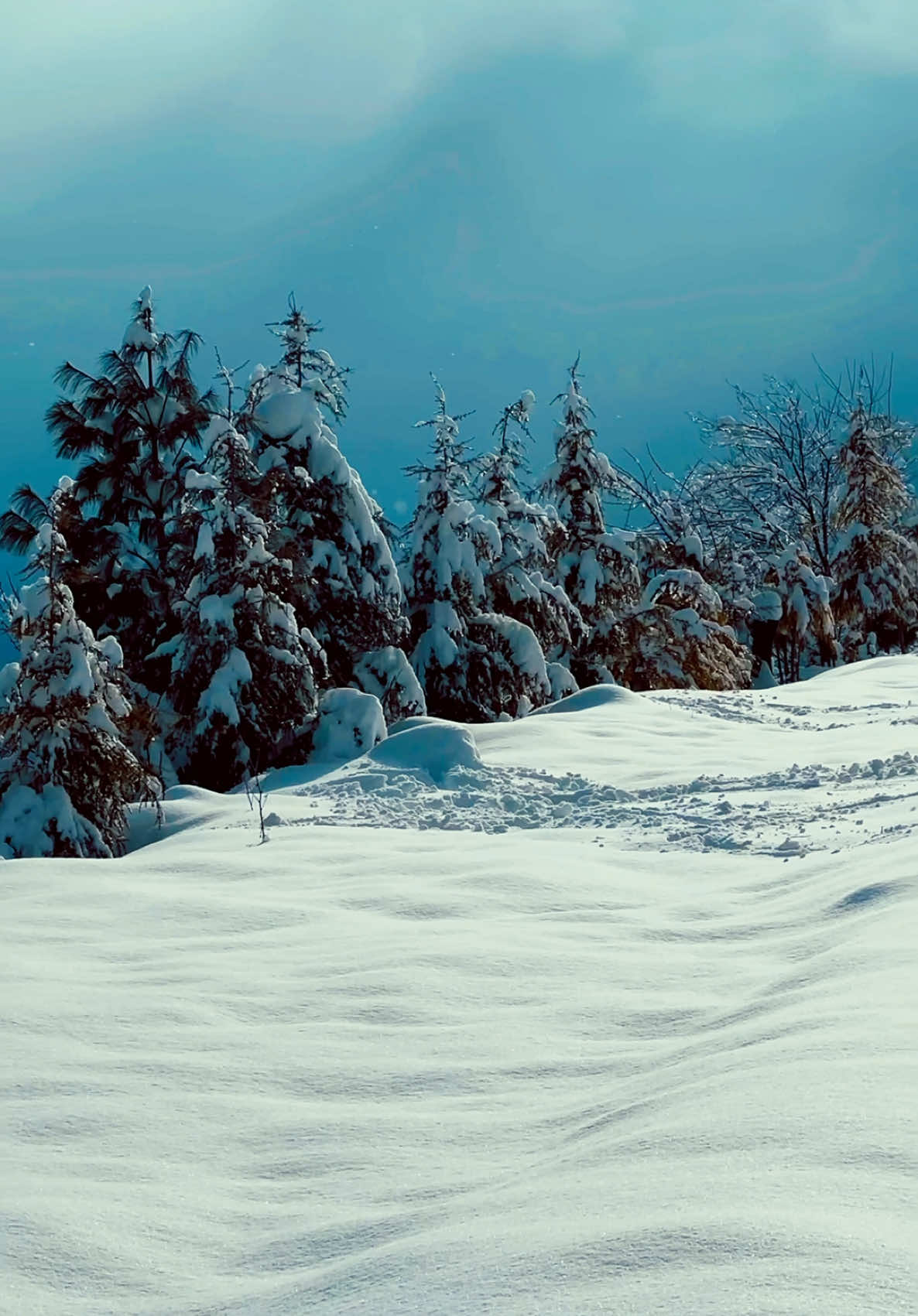 Window to a winter wonderland: Parachinar - 2024 ❄️