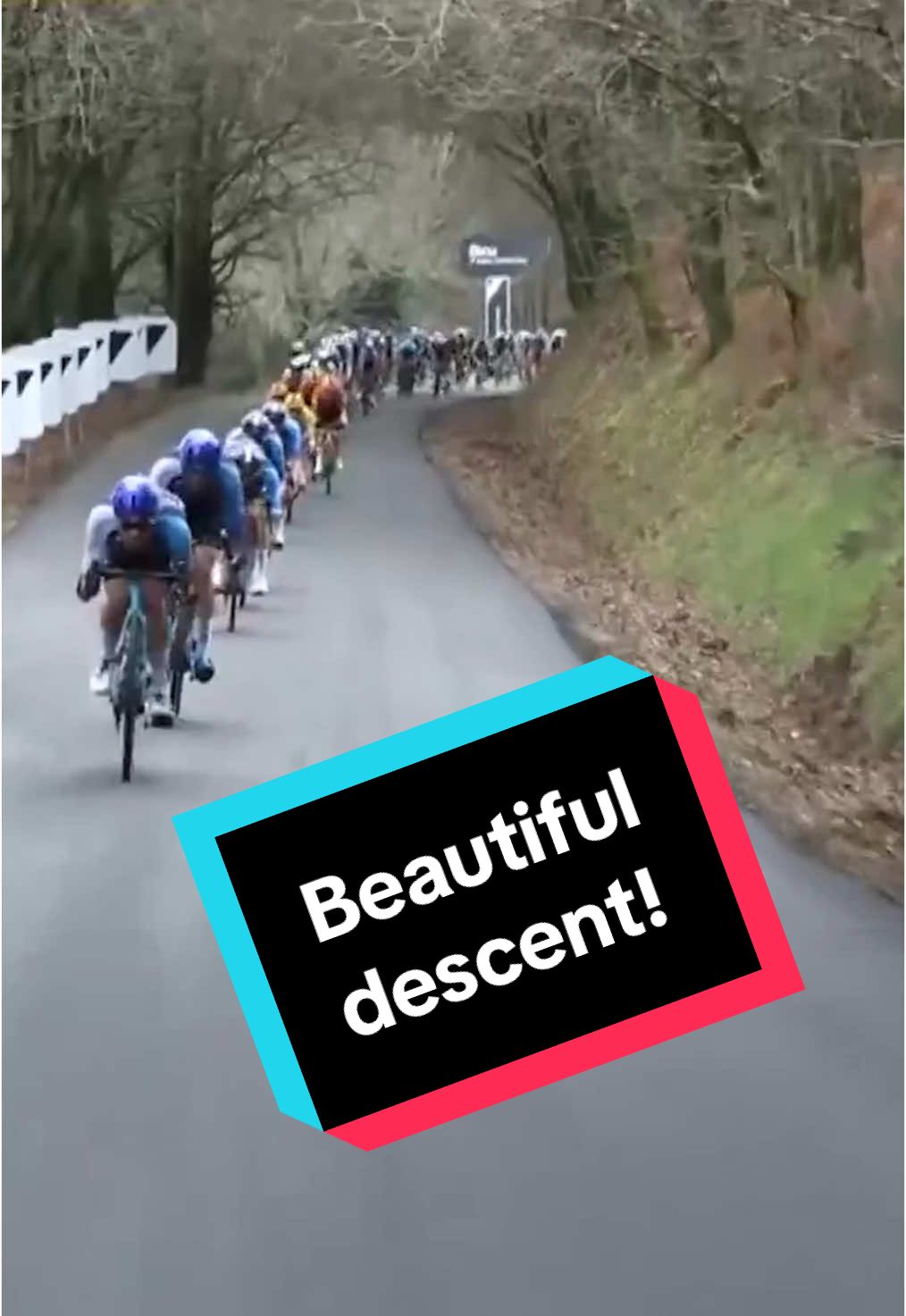 The Galician greenery provided the perfect backdrop for this descent at O Gran Camino! 💫 #OGC25 #roadrace #cycling