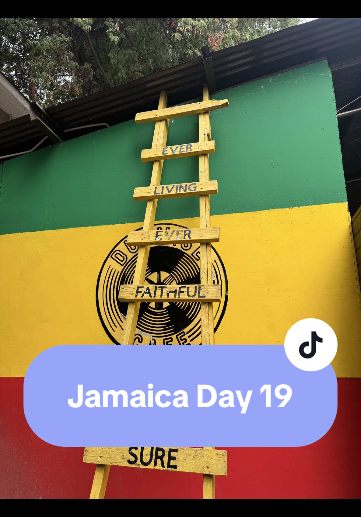 My last full day in Jamaica! 😭 It was a busy one, with lunch at Veggie Campus, a Devon House fix, whining dance class and Kingston Night Market. I’ve had so many new experiences on this trip and I’ll never forget them! #jamaicatiktok #jamaicafyp #carribeantiktok  #blackgirlstiktok #ukblackgirls #blacktravelblogger #traveltok #traveltiktok #traveldiaries #travelblogger #travelwithme #travelvlog #traveltheworld #budgettravel #solotravel # #traveladvice #travelplanning #blacktravelblogger #brandjamaica #jamaicavlog #jamaicafyp #carribeantiktok #thingstodoinjamaica #traveltok #traveltiktok #traveldiaries #travelblogger #travelwithme #travelvlog #traveljamaica #traveltok #traveldiary  #ukblackgirls #traveltheworld #traveltheworld #budgettravel #solotravel #britishjamaican #kingstonjamaica #veggiecanpus #italfood #devonhouse #kingstonnightmarket 