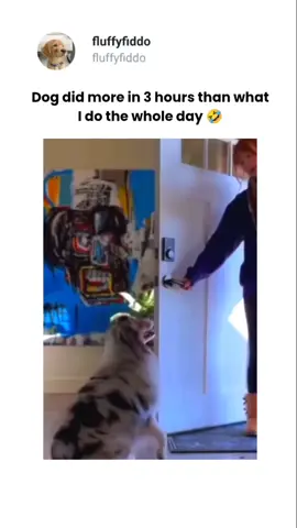 funny videos #funny #haha #meme 