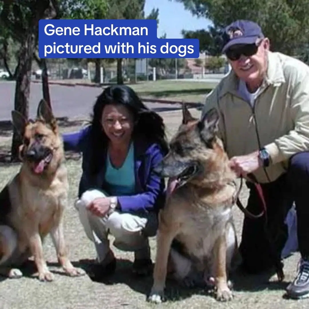 Legendary Hollywood star Gene Hackman and his wife Betsy Arakawa have been found dead in their New Mexico home. The couple, who had been married since 1991, were found dead in separate bedrooms of their Santa Fe home, police revealed. One of their three dogs was also found dead inside a kennel. Police have said that no foul play is suspected and that two dogs survived the triple tragedy. Read the full story on DailyMail.com. Link in bio.  #news #celebnews #celebritynews #genehackman #dogs 