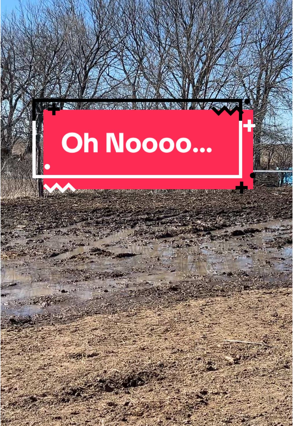 Mistakes were made…It’s probably not something I should show the interne, but I promised to show y’all the good and the bad. This is very bad. It’s gonna take forever for this to dry out.  #fy #fyp #farmtok #agtok #ranchtok #ranchlife #farmlife #kansas #cows #calvingseason #calf #water #whoops #epicfail #mistake 