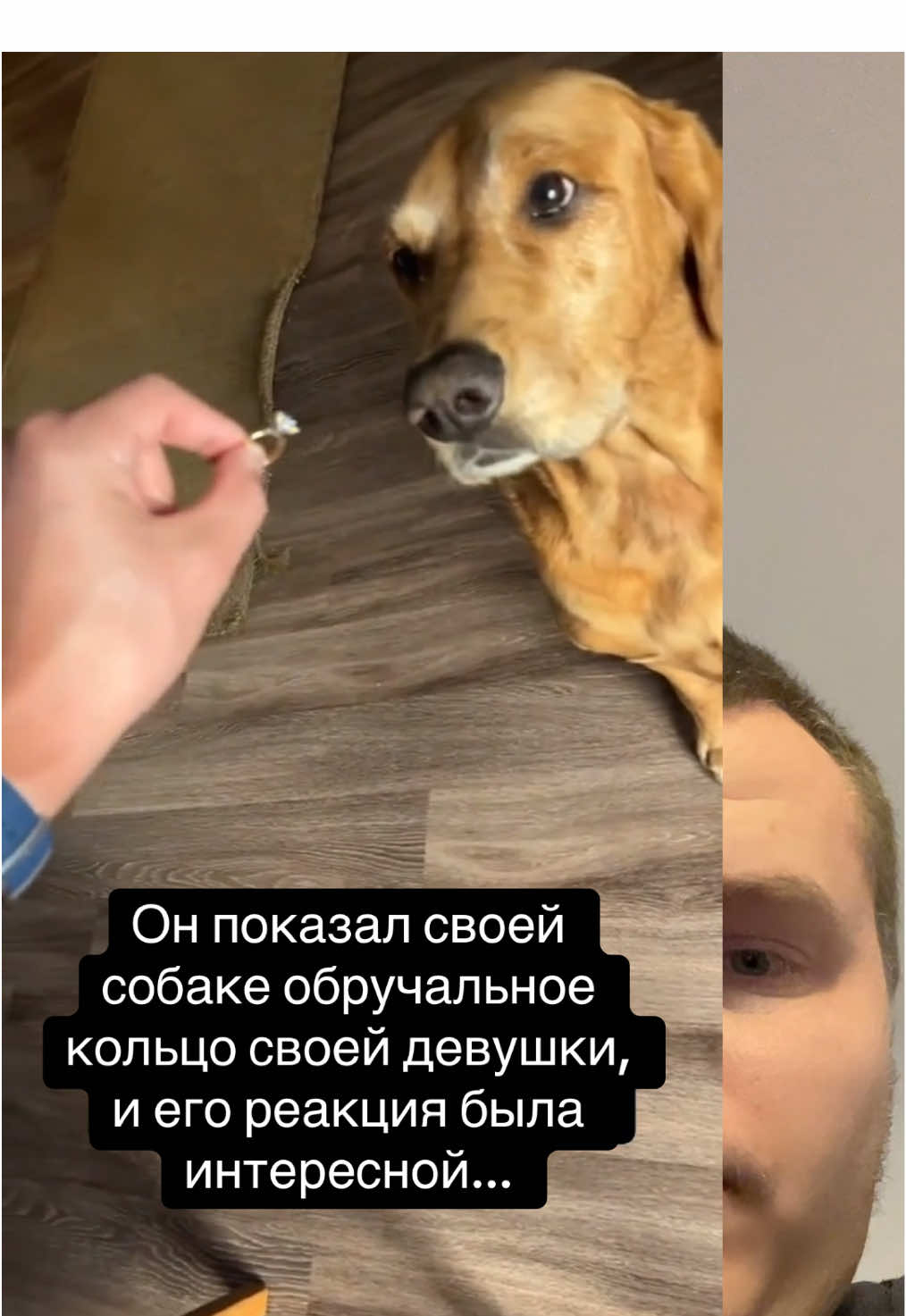 Лапа в конце😅 (@emmandrews via Collab)