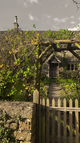 #cotswolds #natureaesthetic8 #fyp🌺🏡☘️ #countrysidelife #slowliving #englishcountryside #creatorsearchinsights 