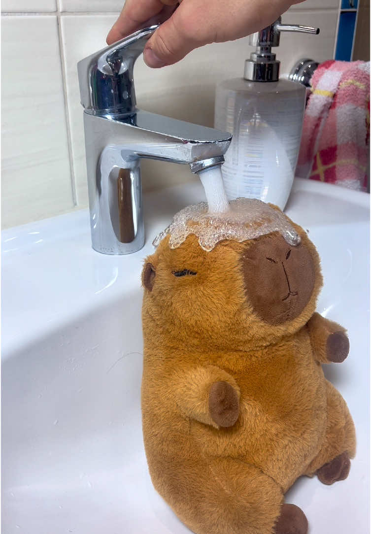 Cappy not Happy 😝😂 #capybara #plush #funny 