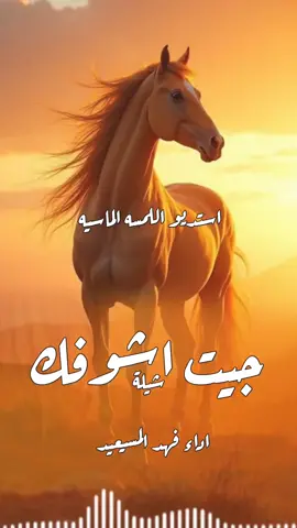 اطلق شيلة جيت اشوفك اداء السطوره فهد المسيعيد جديده 2025#شيلات#زواج#شيلات#تخرج#شيلات#موليد#شيلات#ترحيب#شيلات#لحن#مجرور#شيلات#عرضه-جنوبيه#شيلات#دحه#شماليه#شيلات#عروس#شيلات#ام#العروس#شيلات#ام#العريس#ترحيب#باضيوف#زفات#بلاسماء#سحب#حقوق#زفات#بدون# اسماء #عروس-عريس-زواج #شيبة-رقص-عريس-حماسيه #شيلةمدح #شيلات-زوج #تنفيذ-جديده #شيلات-ام-العريس #شيلات-ام-العروسه #شلات-تخرج- #شيلات-تخرج-عسكري- #شيلات-تقاعد #شيلات-مدح #شيلة-توضيف #شيلات-شفاءوسلامه #شيلات-فهد-العيباني #شيلات-مهنا-العتبي  #شيلات-فهد-بن-فصلان- #شيلات-جفران-بن-هضبان- #رقص-عروسه#تنفيذ-بلاسماء🎶🎶-شيلات-رقص-العروس-عروس-متعب-الخيال-مهنا-العتبي-حماسيه-رقص-للعروسه-شيلات-عريس-شيلات-تخرج-شيلات-ملكه-عقد-قران-شيلات-تقاعد-شيلات-تخرج-عسكريه-شيلات-سعد-محسن-شيلات-عبدالله-البرازي-شيلات-فهد-العيباني-2024 #شيلة#رقص#مهنا#صوت-متعب-الخيال-شيلات-رقص-عروس-شيلات-حماسيه-متعب-الخيال-شيلة-قومي-العبي-جديده-متعب-الخيال-حماسيه-شيلة-مدح-عروس#شيلات-عروس-حماسيه-شيلات_للعروس-مدح-حماسيه-شيلات-عروسه-جديده-شيلات-مدح-شيلات-زواج-شيلات-رقص-شيلات-عدعيد-الفطر-شيلات-عيد-الاضحي-شيلات-رمضان#للطلب_واتساب_لرقم_موجود_ب_لصفحه