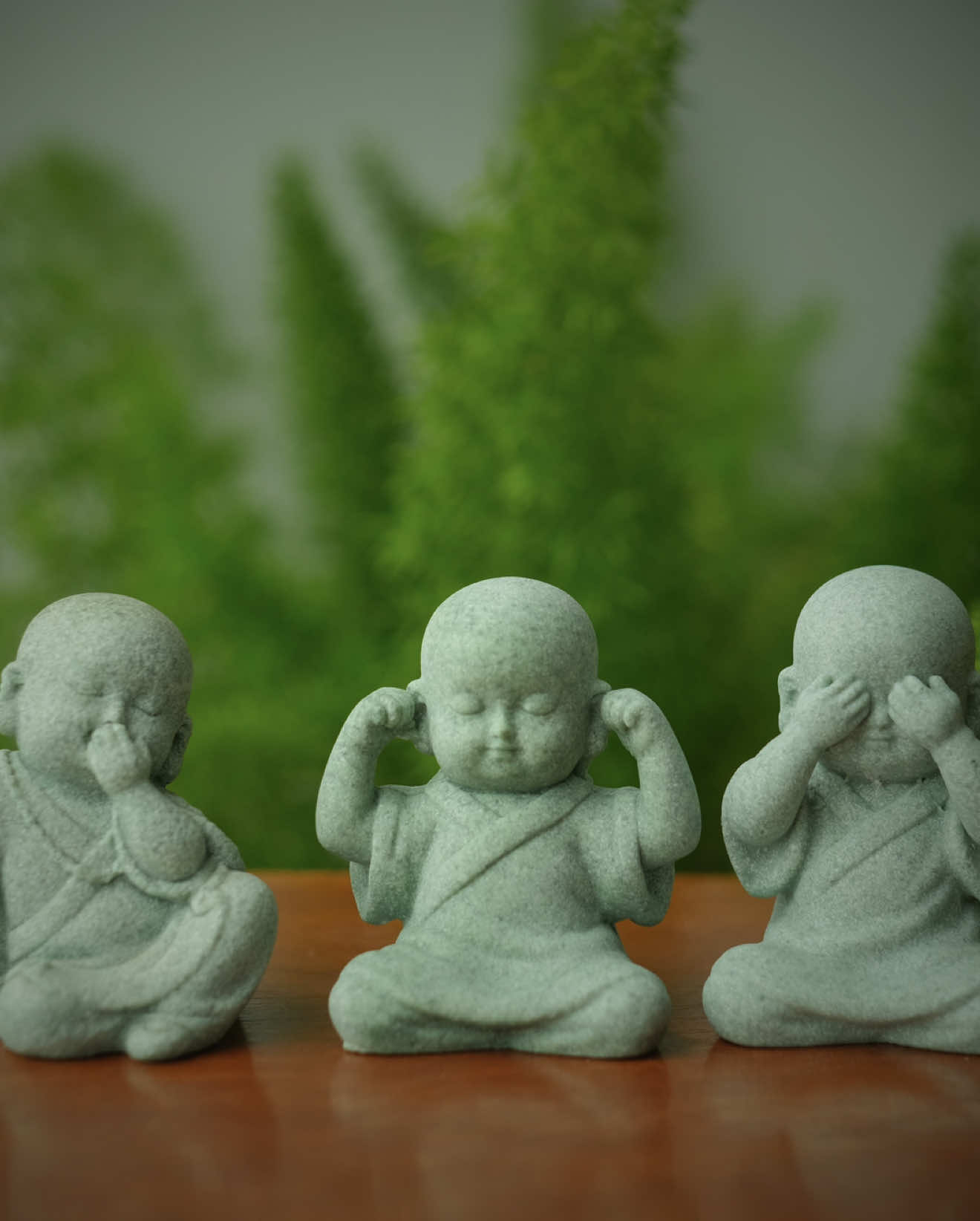 Bớt nghe, bớt nói, bớt nhìn,…🪷 #tuongphat 