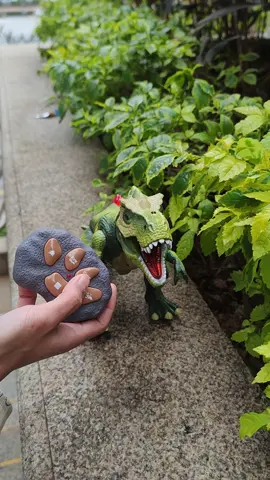 #tiktokshop #toys 