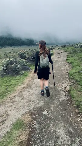 nature therapy😍🍃#surkengununggede #gedepangrango #pendaki #pendakigunung #gunung #fypシ゚ 