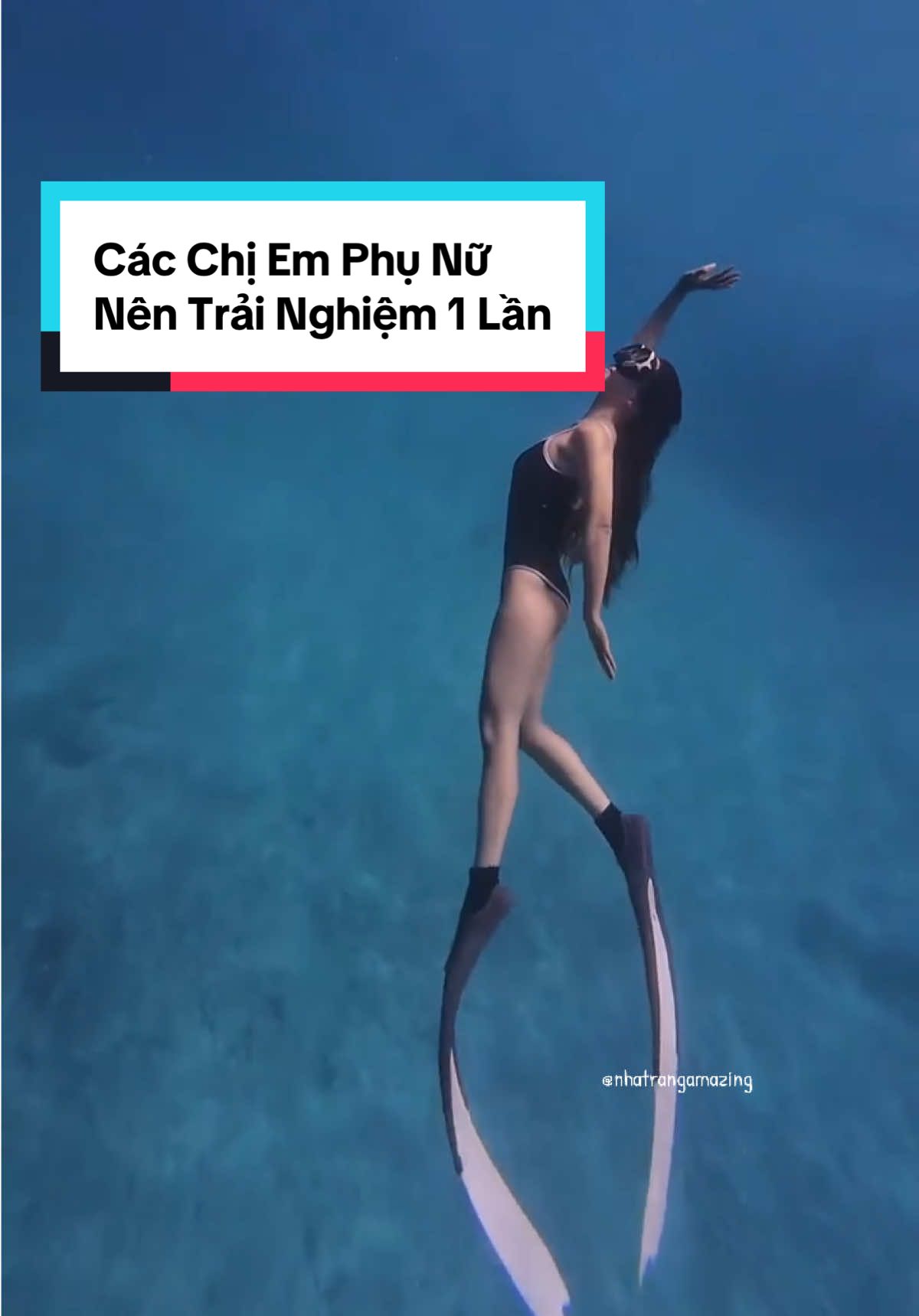 Tự Tin Khám Phá . Phe Cá Tính Của Bản Thân Là Đây Chứ Đâu ? #freediving #nhatrang #vietnam #viral #xuhuong #trending #photography 