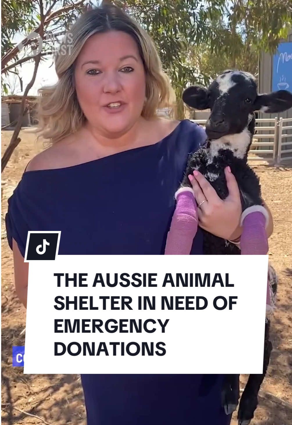 The Furever Farm animal sanctuary in South Australia is putting out a call for emergency funding. With the help of GoFundMe, they've been able to raise more than $40,000. However, it’s not enough to keep the doors open and provide shelter for almost 200 animals. Tune in to 10 News First Adelaide at 5pm for the full story.