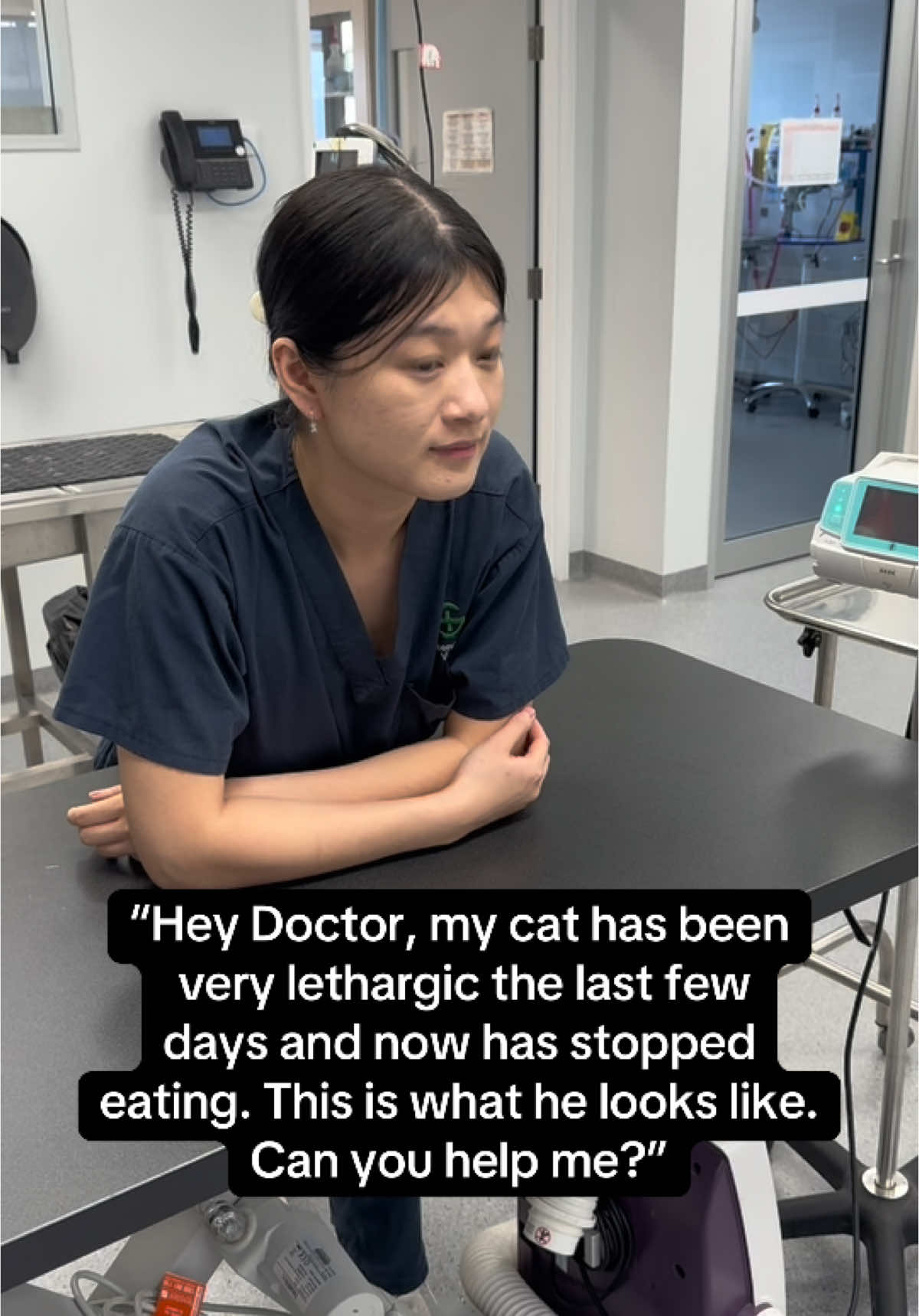 Please come in for a consult if you have any concerns about your pets🐶 #fyp #GreencrossVets #greencrossvet #veterinarian #vetnurse #cat #dog #veterinaryhospital #vetmed #vet #vetclinic 