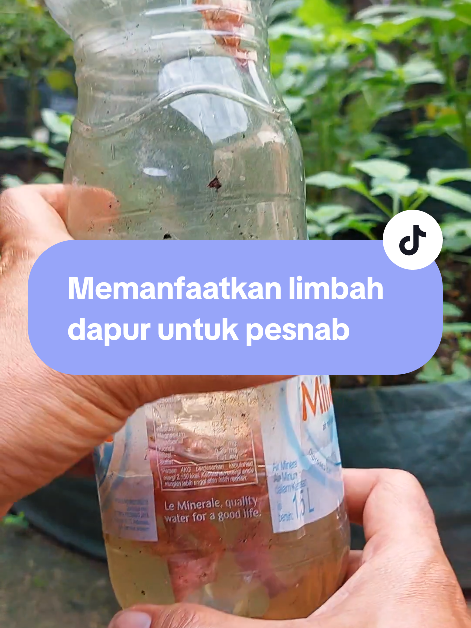 pemanfaatan limbah dapur kulit bawang untuk pembuatan pestisida nabati #pestisidanabati  #pesnab  #daurulangsampah 