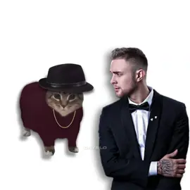самая u i a #mashup #егоркрид #самаясамая #oiaoiacat #oiiaiiooiiai #cat #foryou @egorkreed 