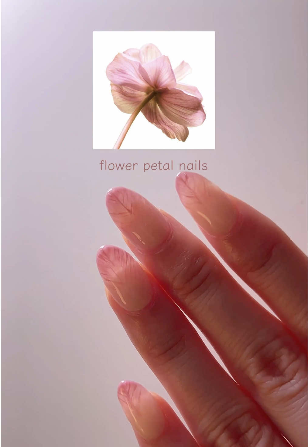 flower petal nails 🪷 this nail art looks very subtle initially, but i love how the flower veins look against the light! it makes the nail look thin like a real petal 🤍