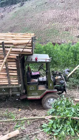 Chân bé mà vẫn theo đc mấy anh chân to  #xekeo37 