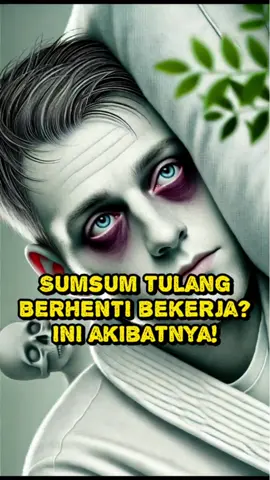 Bayangin kalau sumsum tulang belakang tiba-tiba mogok kerja ❌ Tubuh langsung kacau balau! Dari produksi darah 🩸 sampai daya tahan tubuh 🛡️, semua ikut terganggu. Yuk kenali fungsinya biar makin paham! ✨  #CerminRaga #FaktaKesehatan #SumsumTulangBelakang #KesehatanTubuh