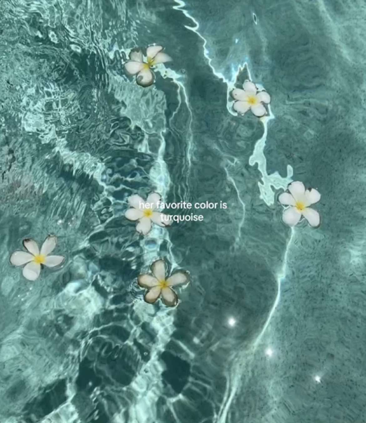 turquoise #turquoise #colors #blue #green #water #ocean #sea #aesthetic #fyp #cinnamoony #foryoupage❤️❤️ 