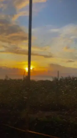 Senja | glen sebastian #glensebastian#senja#timurpride#ambonpride🏝🔥 