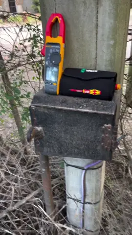 Happy #FlukeFriday 🎉 POV: You were expecting a wiring mess… but not this kind of nest 🐦Some jobs come with a little extra surprise! @enerbar.energia (on Instagram)