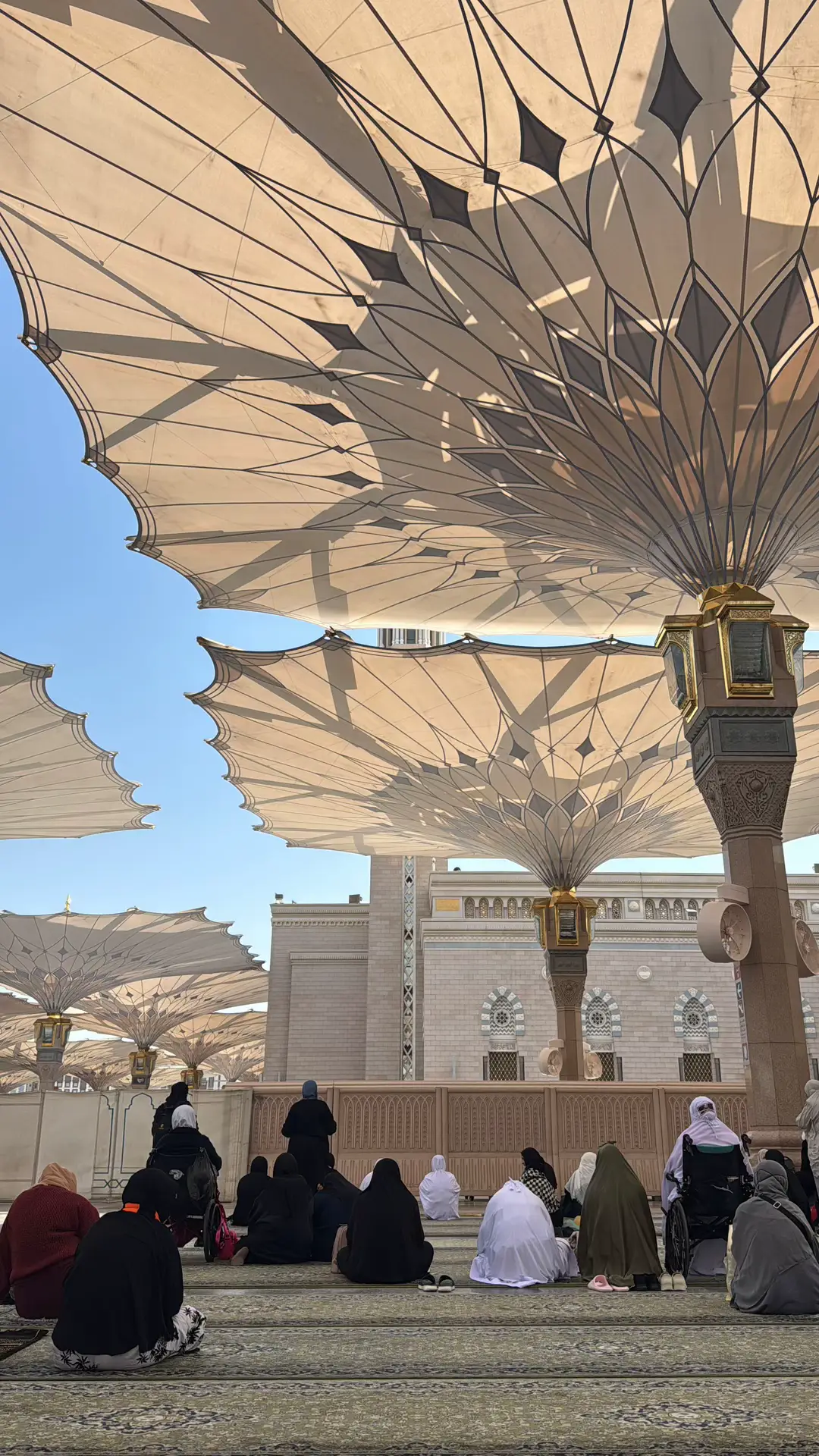 Peaceful Madinah✨ #madinah #umrah #mecca #nabawi 