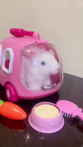 No more gadget with this cute rabbit toy 🥰😍🐰 #rabbittoy #fyp #pettoys 