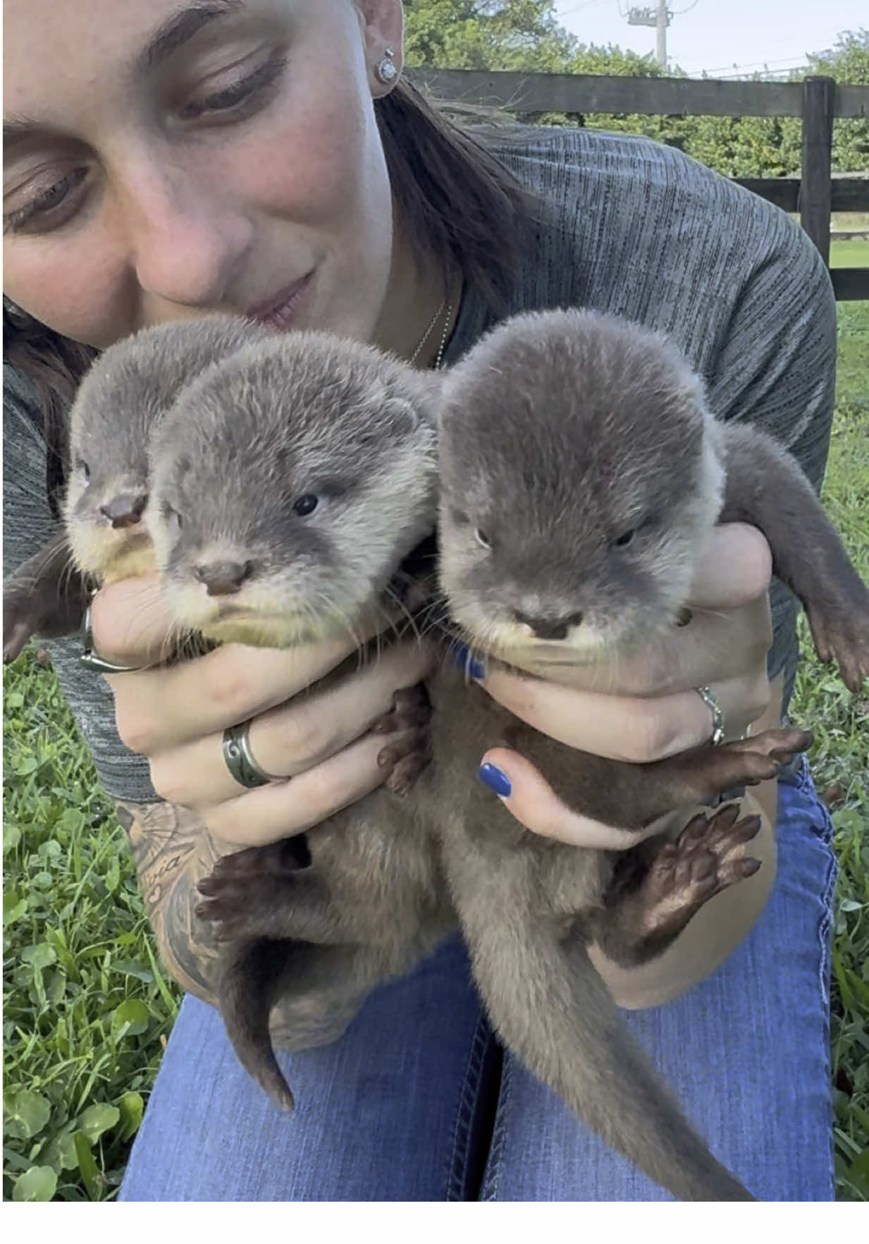 Aren’t OTTERS The CUTEST? Book Your Tour NOW & Visit The Most AMAZING Animals EVER! At AnimalEDventures.com RESERVATION ONLY #ForYou #ForYouPage #Fyp 