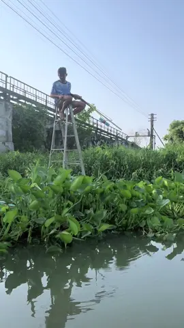 พี่ๆเคยเห็นใครทำแบบน้องเขาไหมคะ ยิงปลาบนเรือ ดูให้จบนะคะจะเข้าใจ😛 #บางปะอิน #อยุธยา #อย่าปิดการมองเห็น 