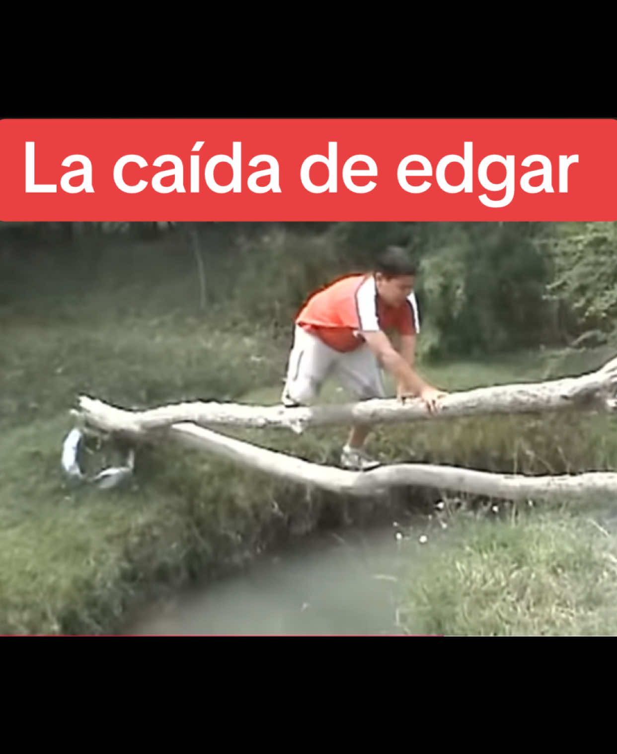 La caída de Edgar 
