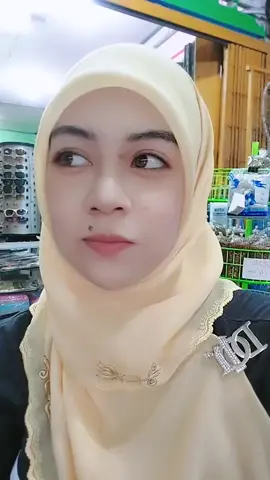 #วันนี้ในอดีต 