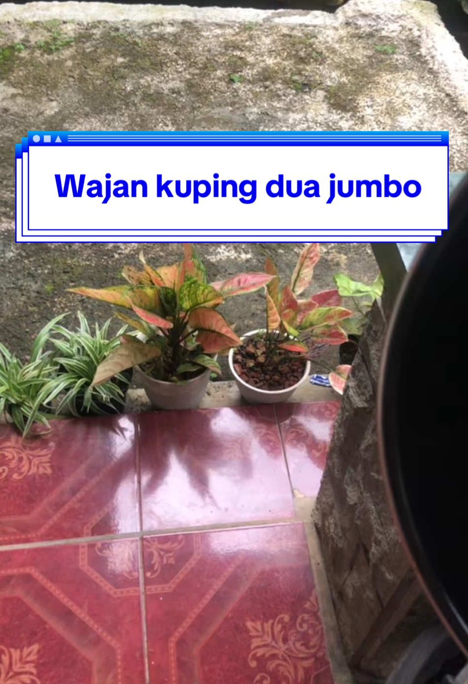 Yuk ah bund co sekarang #wajanantilengket #wajanmurah #wajanteplon #fyp #fyppppp #xyzbca #trending #foryoupage #viral #homeliving #alatmasak 