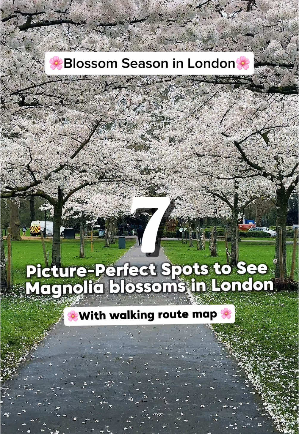 🌸 Magnolia Blossoms Are Coming to London! 🌸 In just a few weeks, London will be in full bloom with stunning magnolia blossoms! 👉 Comment ‘MAP’ to get my ultimate 1 hour 30-minute walking route on Google Maps, featuring 9 of the most picturesque magnolia spots in Chelsea & Kensington.👇 🚇 Start your Magnolia hunt from South Kensington Station and explore these beautiful locations: 🌸 St. Leonard’s Terrace, Chelsea 🌸 Ormonde Gate, Royal Hospital Rd, Chelsea 🌸 Corner of Bramerton St & Glebe Place, Chelsea 🌸 26 Carlyle Square, Old Church Street, Chelsea 🌸 Selwood Terrace (with the Blue Door), Kensington 🌸 Neville Terrace (with the Green Door), Kensington (Both Selwood and Neville are located near each other on the same road) 🌸 The Boltons, Kensington 🌸 The Little Boltons, located on the next parallel street to The Boltons 🌸 Gloucester Road (145 Courtfield Sq), parallel to Hereford Square 💲 Bonus Locations: If you have extra time, don’t miss these! ⭐️ Princess Gate (Private Residence) – Just a 4-5 minute walk from South Kensington Station ⭐️ Serpentine Coffee House – A hidden gem with a huge magnolia tree under the bridge, offering breathtaking views ✅ Pro Tip: Make sure you have Google Maps downloaded on your phone for easy navigation! 🌸Best time to visit - March  Happy Magnolia Hunting! 🌸✨  Spring in London • London cherry blossoms • Magnolias in London • Visitlondon • London things to do for free • Magnolia blossoms