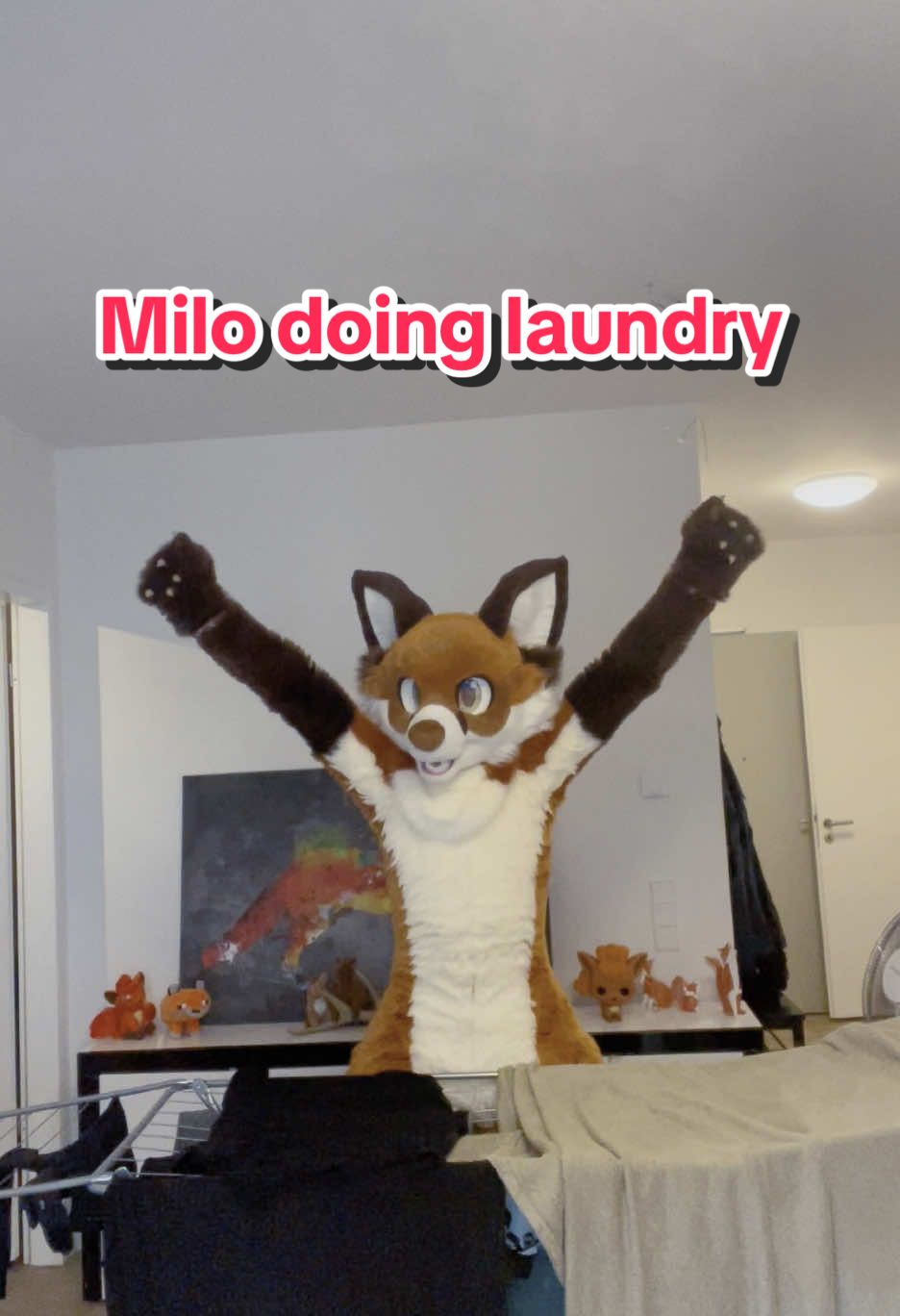 #furry #furryfox #fursuit #foxpack #fuchs #fox #tutorial #laundry #wäsche @lemonbrat 