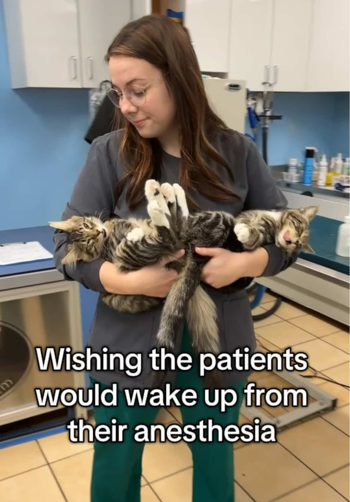 The cutest cats but they loved their anesthesia a little too much #vetmedhumor #veterinarymedicine  #catsoftiktiok #funnycats #anesthesia #vetassistant #veterinaryhumor #fyp 