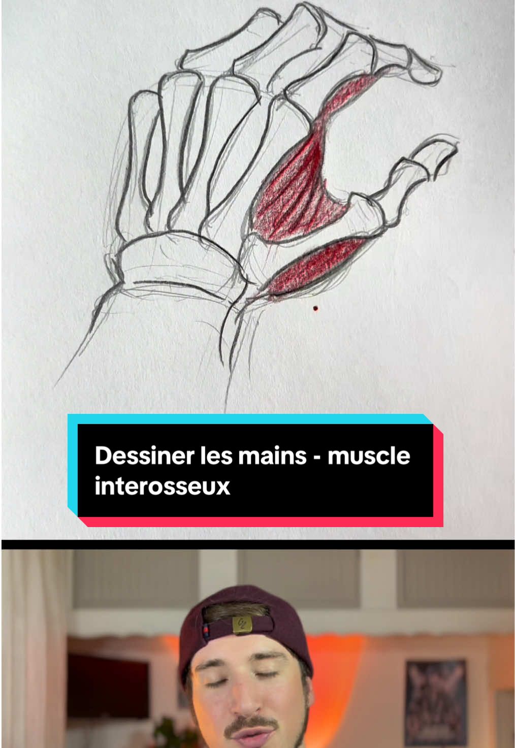 Dessiner les mains - muscle interosseux ✏️ #dessinateur #tutodessin #dessinmanga #mangaka #dessinfacile #illustrateur #dessin #dessins 