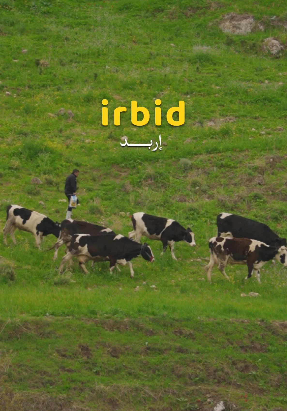 #irbid #اربد #fyp 