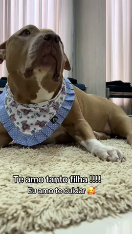 Te amo tanto 🥰 #foryou #pitbull #pets #animaisnotiktok 