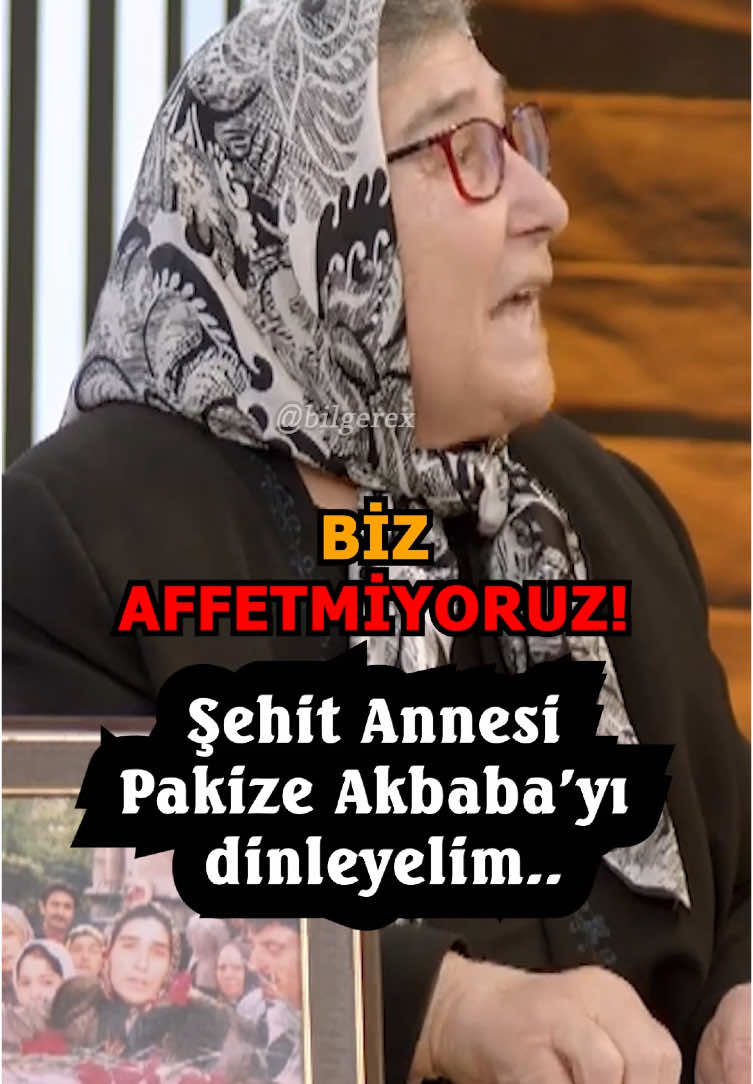 Kendisi de bir şehit annesi olan Şehit Anaları Dayanışma ve Yardımlaşma Derneği Başkanı Pakize Akbaba‘nın 2. çözüm süreci ve dağ farelerinin olası affı üzerine bir değerlendirme..