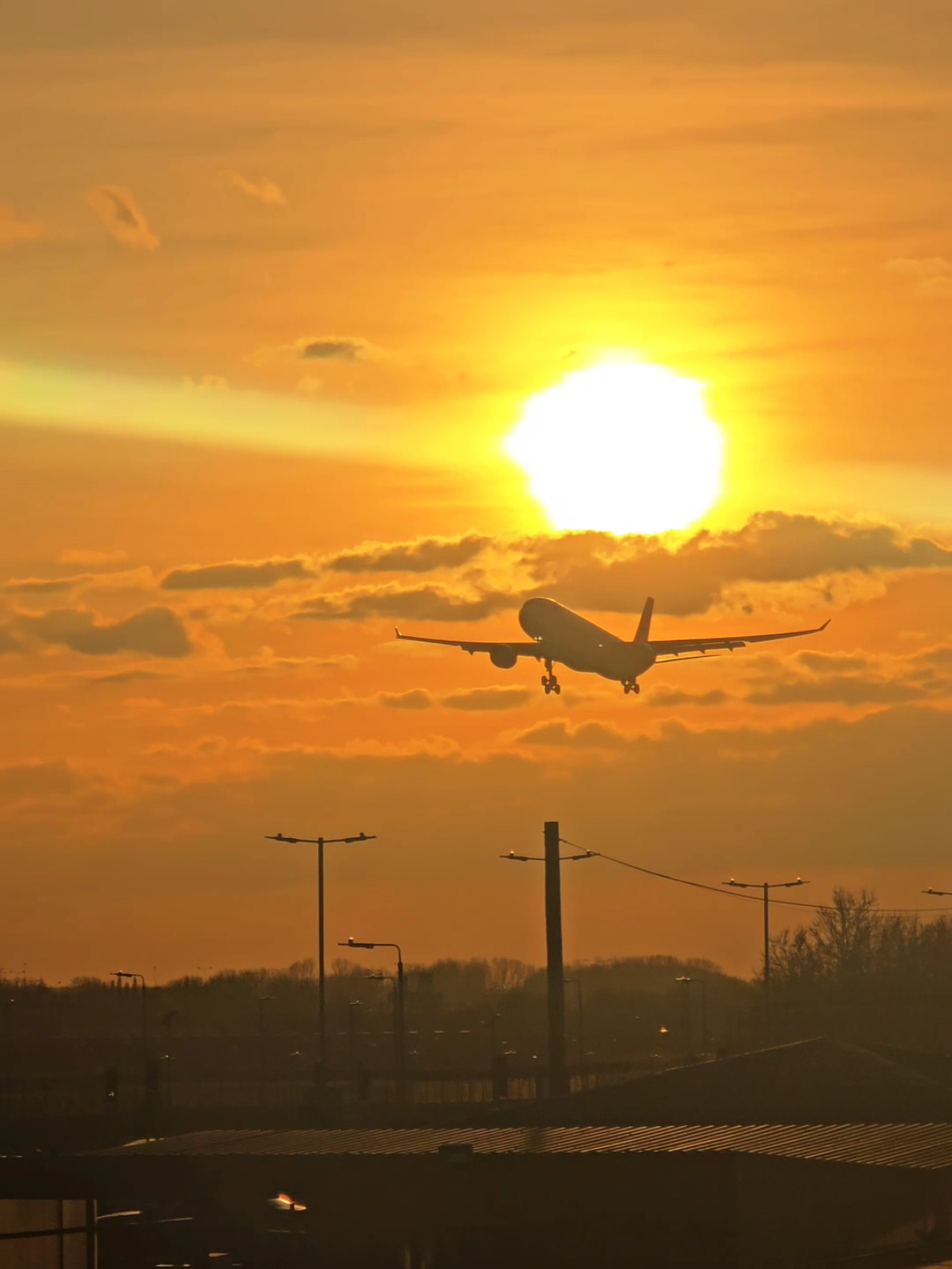 Sunset landing Turkish Airlines A330 😍  @Turkish Airlines #airbusa330 #turkishairlines #sunsetlover #aviationdaily #avgeek #heathrow #airport 