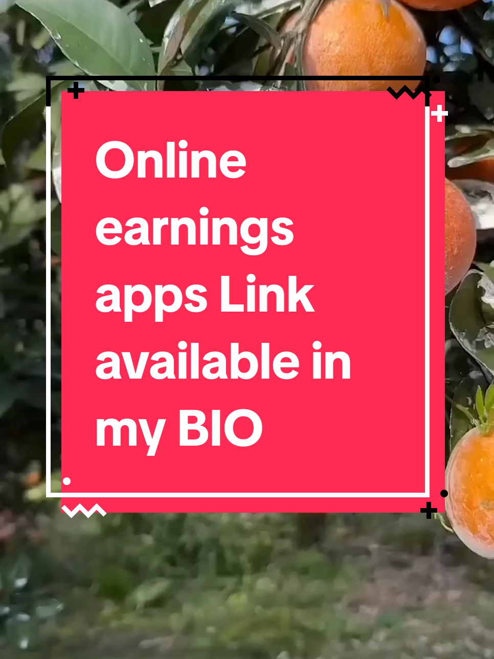 how to make on TikTok:LINK available in my BIO 👉✅#foryoupage #fyp #fypシ #unfrezzmyaccount #grow #stndwilhkashmir #stndwithkashmir#howtomakemoneyonline #tiktokerning  #growmyaccount 