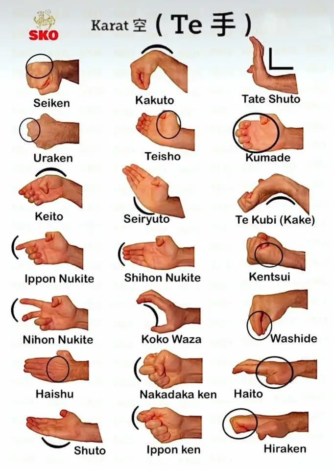 cada arma do karate detalhada #karate #karatelove #karatefighter #worldkarate #wkf #karate #karatetradicional #seiken #heartofkarate 