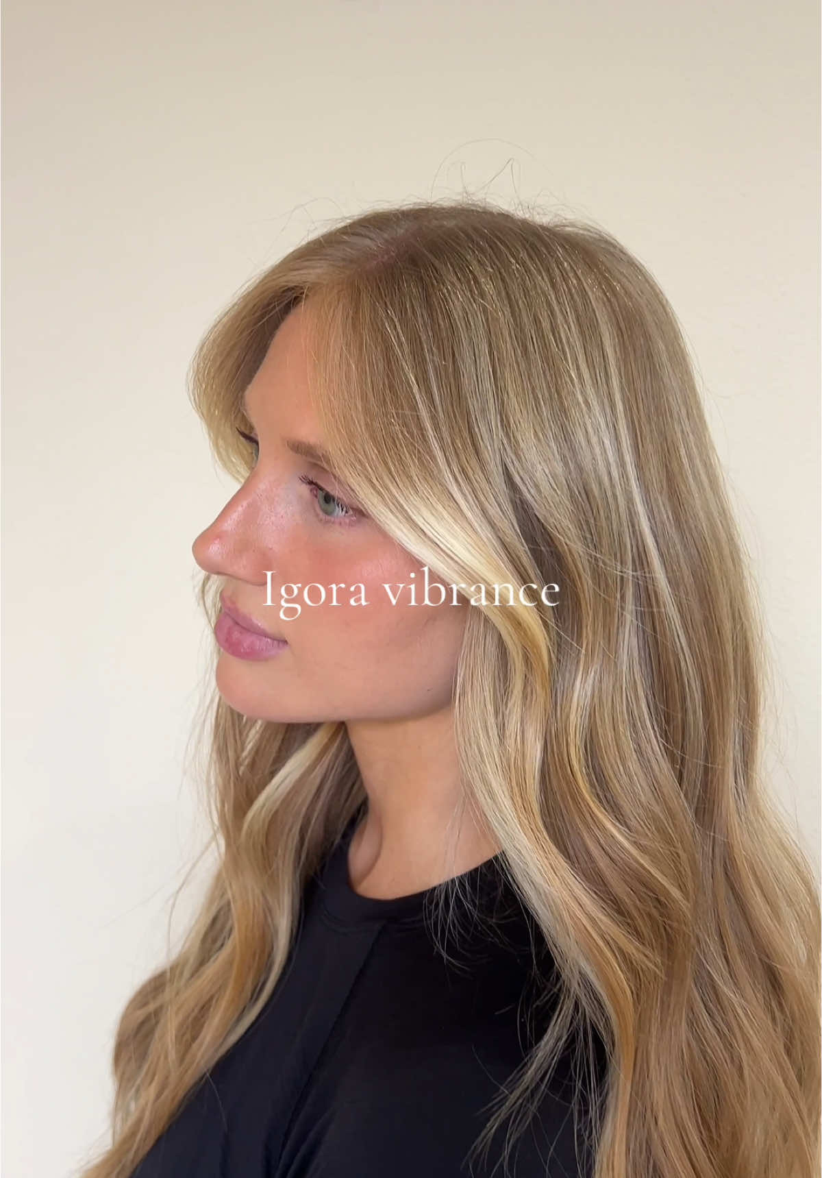 It’s time to start transitioning into the bright warm blonde for summer !!!#summerblonde #igoravibrance #formulatoner #hairstylistsoftiktok @Schwarzkopf Professional @schwarzkopfprofessional 