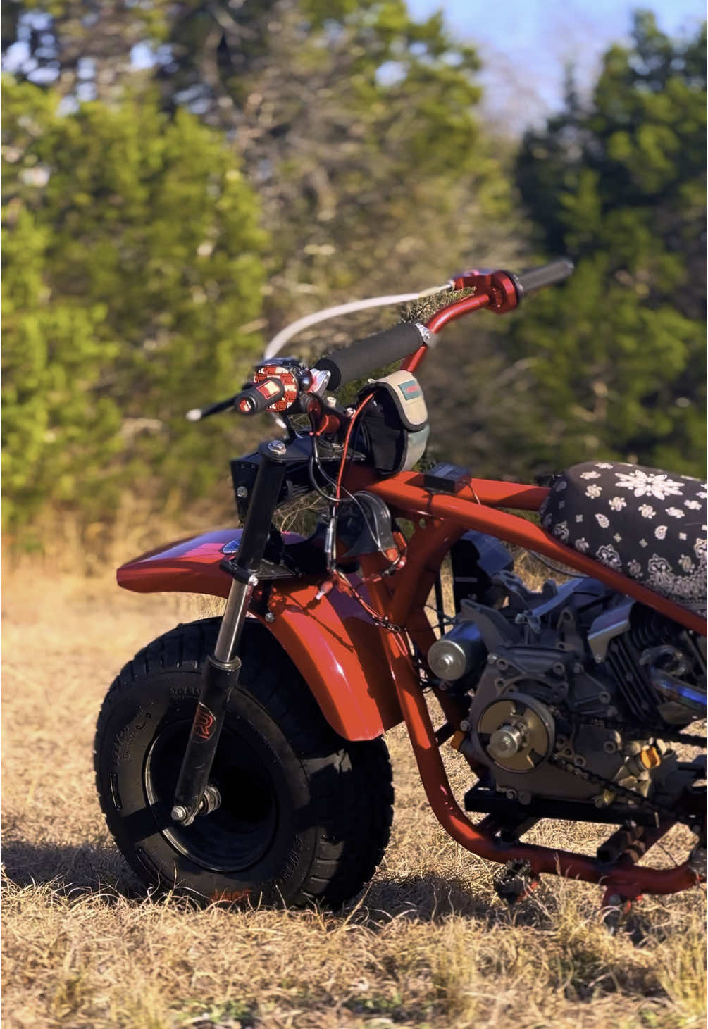 FTP 😒 #dirtbike #motorcycle #bike #fyp #fypシ #viralvideo #foryoupage #bigblock #420cc #predator420 #b200r #coleman #red #hemi #fast 