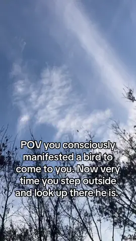 #manifesting #manifestation #consciousmanifestation #consciousness #awakening #awakened #iam #being #creating 