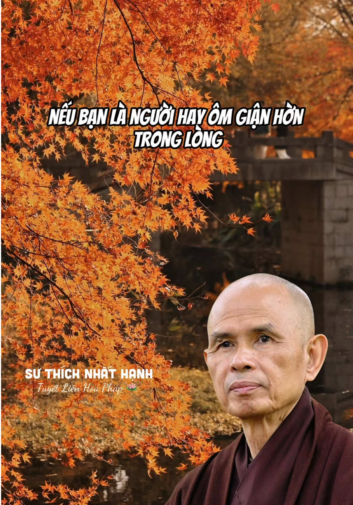 Giận hờn... Theo lí giải của thiền Sư Thích Nhất Hạnh #tuyetlienhoaphap2 #thichnhathanh 