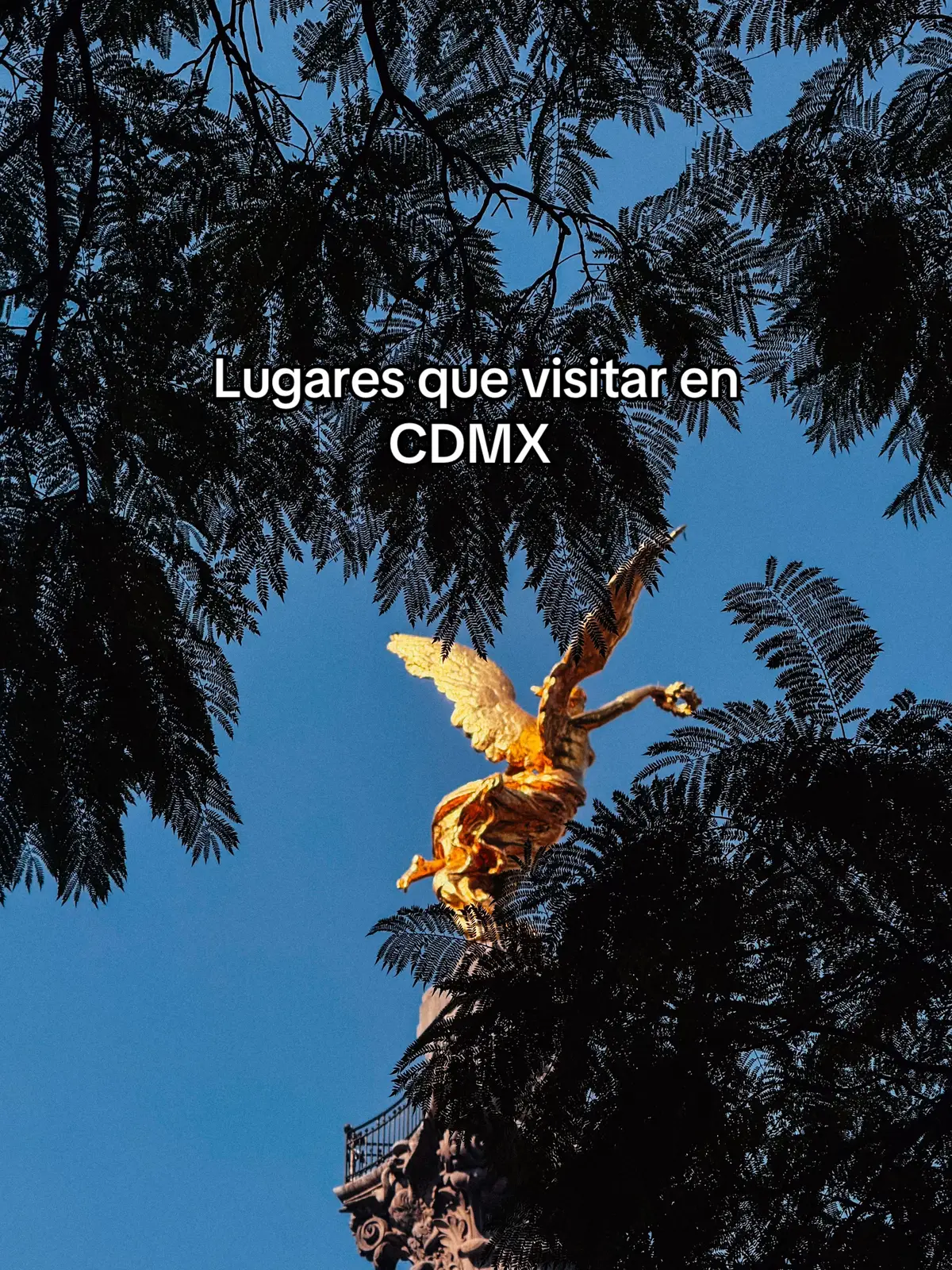 Aquí te dejo algunas galerías y museos que puedes visitar en CDMX #joerecomienda #dondeircdmx #museoscdmx #galeriadearte #cdmxparatodos #cdmxlife #museostiktok #arte #parati 