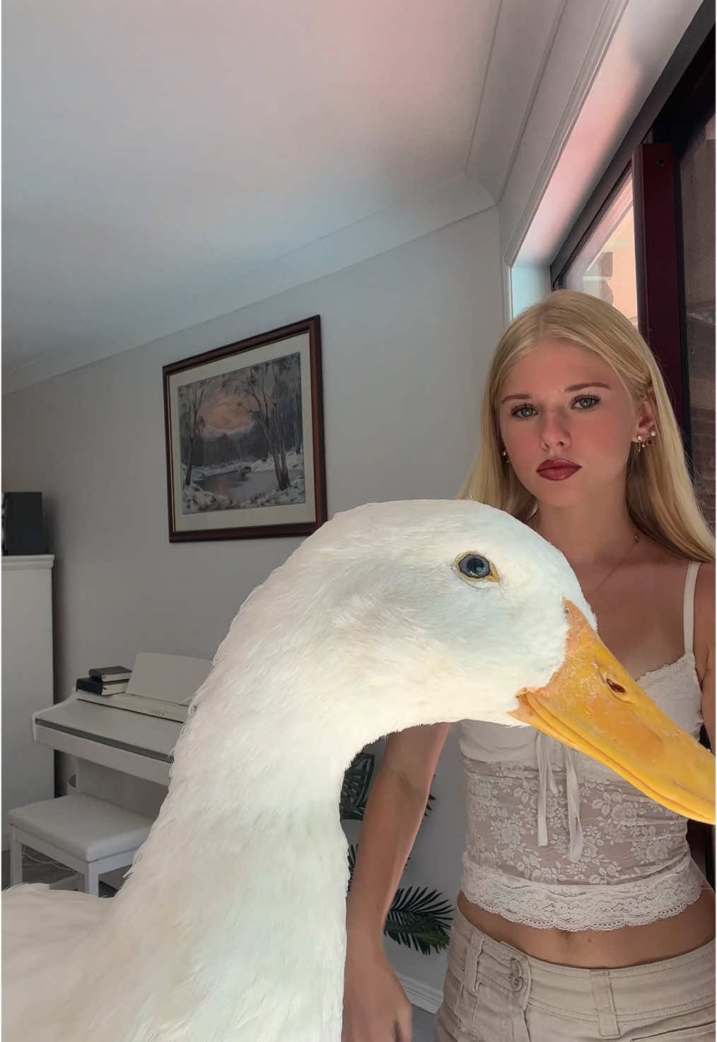 ducky #duck 